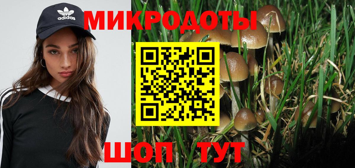Псилоцибиновые грибы Psilocybine cubensis  Галлюциногенные грибы прущие грибы  Вход с VPN  Тулун 